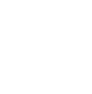 fair and equal housing